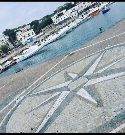 Flora Διαμέρισμα *